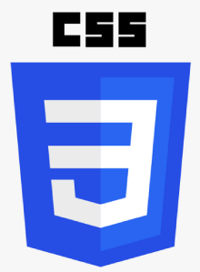 CSS Training in mangaf