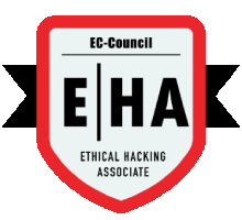 Ethical Hacking Training in mangaf