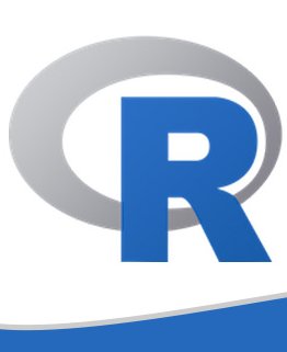 R Programming Training in mangaf