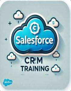 SalesForce Training in al farwaniyah